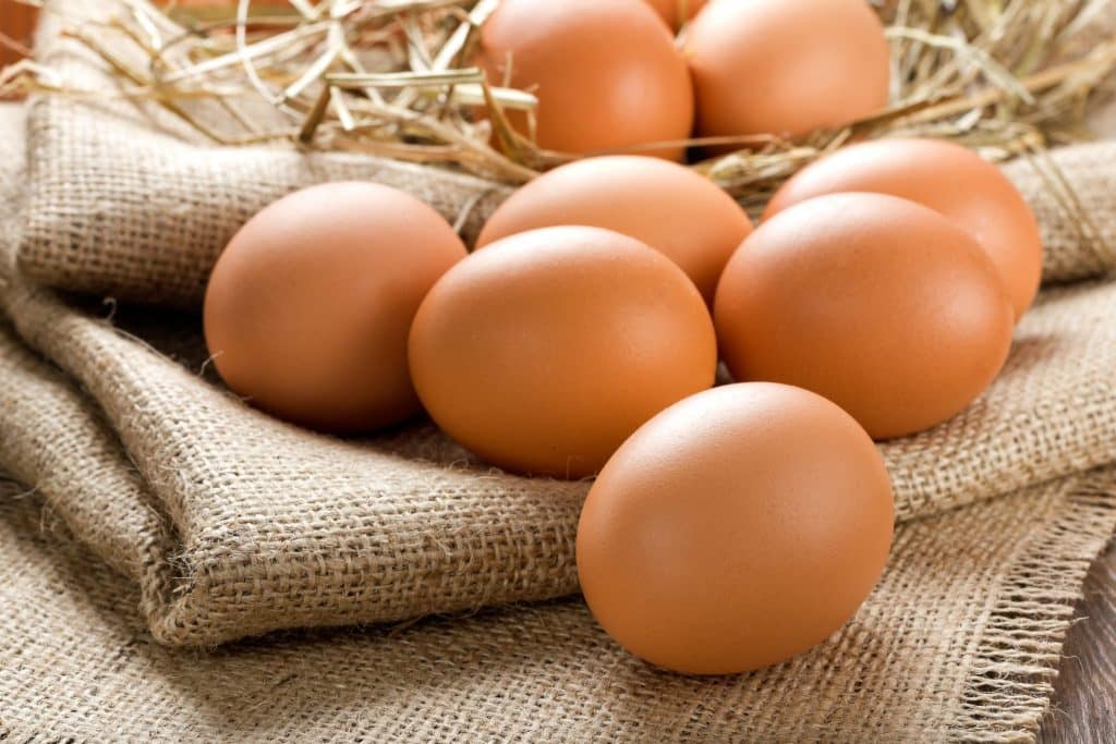 Les oeufs