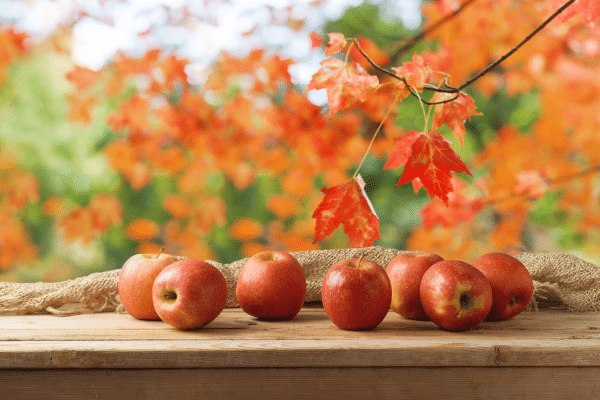 Pomme & Protéines : Le Duo Infaillible pour Stopper les Fringales d'Automne